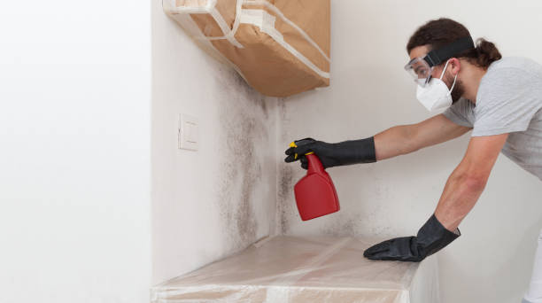 Professional Crawl Space Mold Removal technician working in Sharon, TN